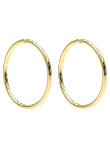 Gold Plated Sterling Silver Hoop Earrings 0,98''