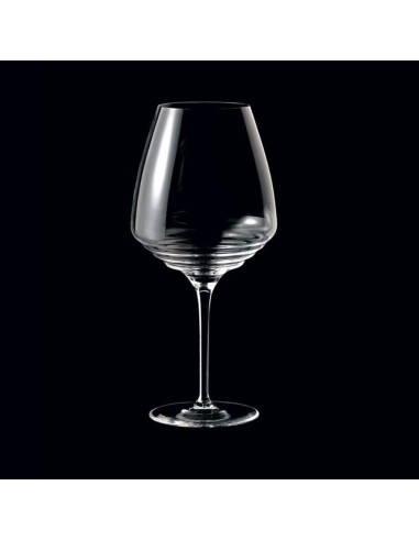 Zafferano Esperienze Set 6 Amarone Wine Glasses 