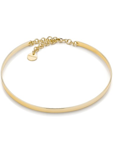 Golden Choker Lux  Rigid Necklace