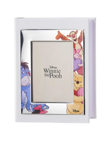 Disney Winnie The Pooh and Friends Photo Album 